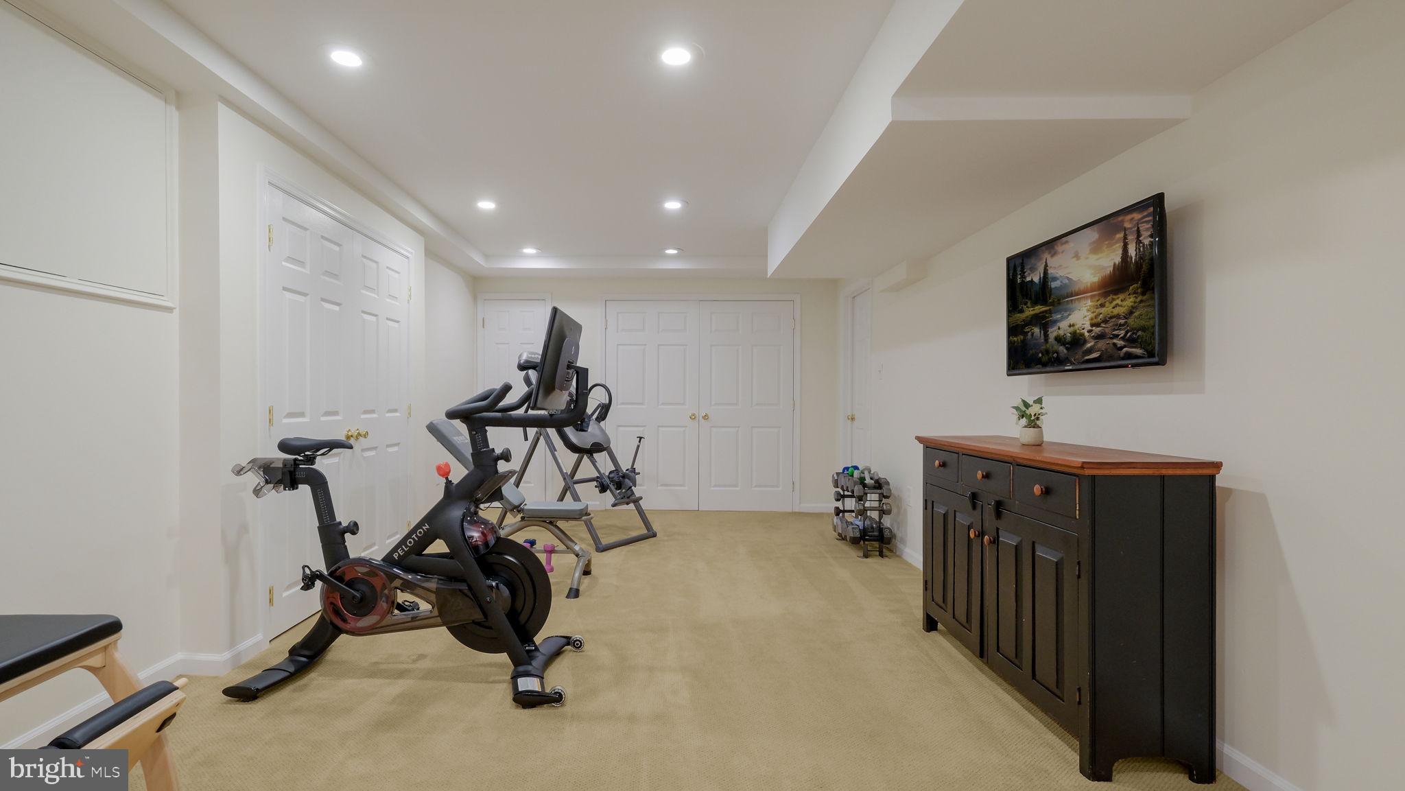 4805 Cheshire Road Doylestown, PA 18902 - Photo 51 of 89 Finished Basement
