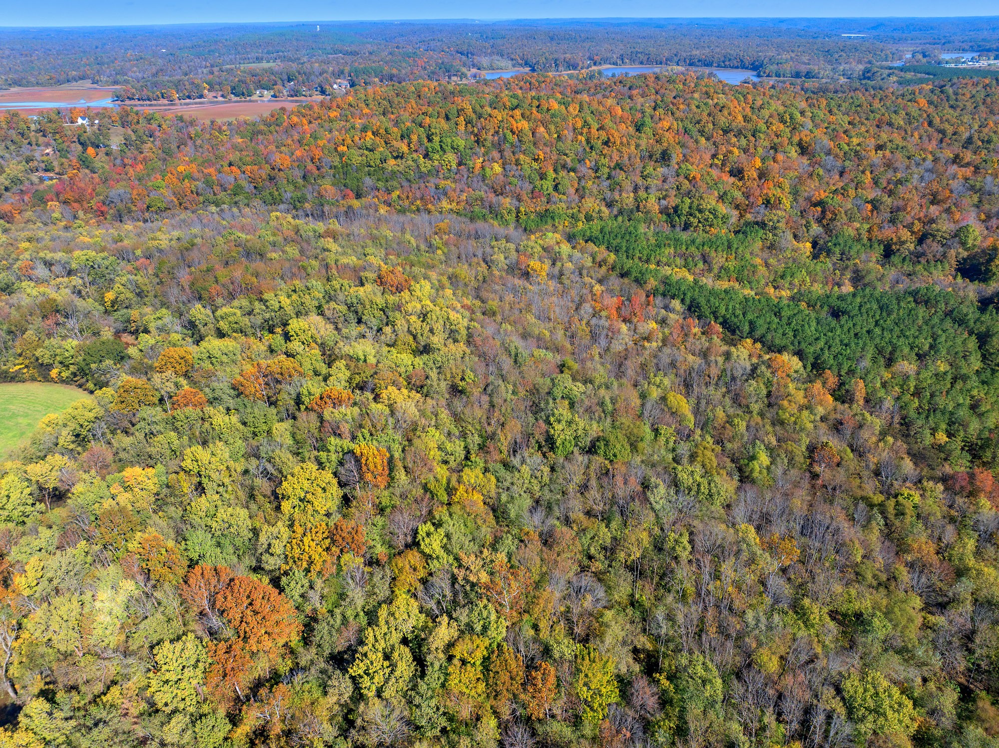 an aerial view of residential houses with outdoor space and trees