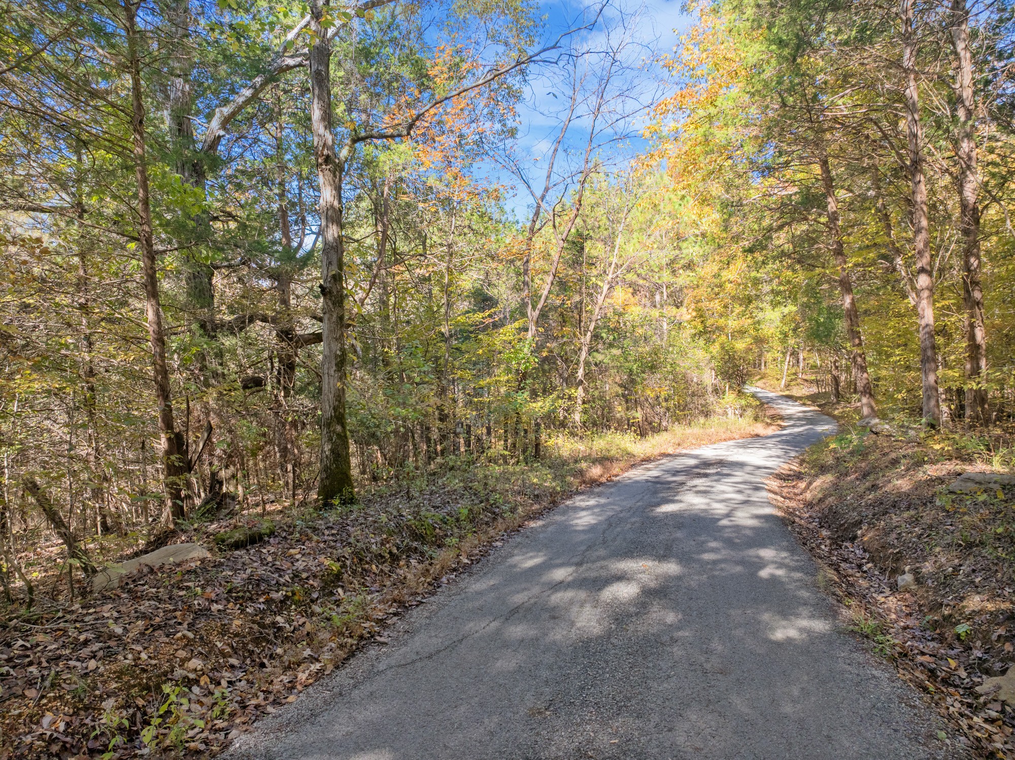 0 Dr Fisher Lane Decaturville, TN 38329 - Photo 17 of 25 a view of forest