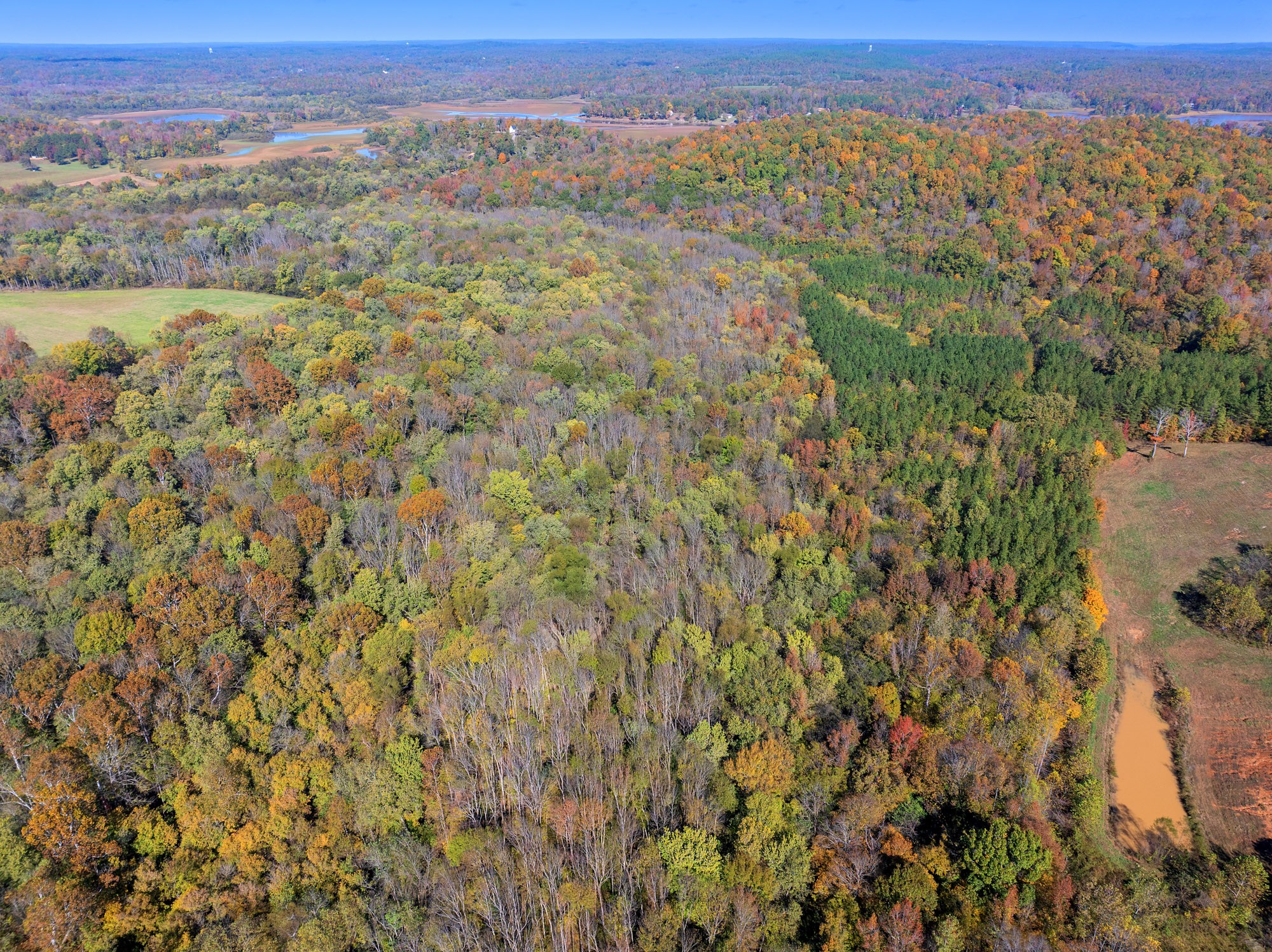 0 Dr Fisher Lane Decaturville, TN 38329 - Photo 22 of 25 a view of a city with lush green forest