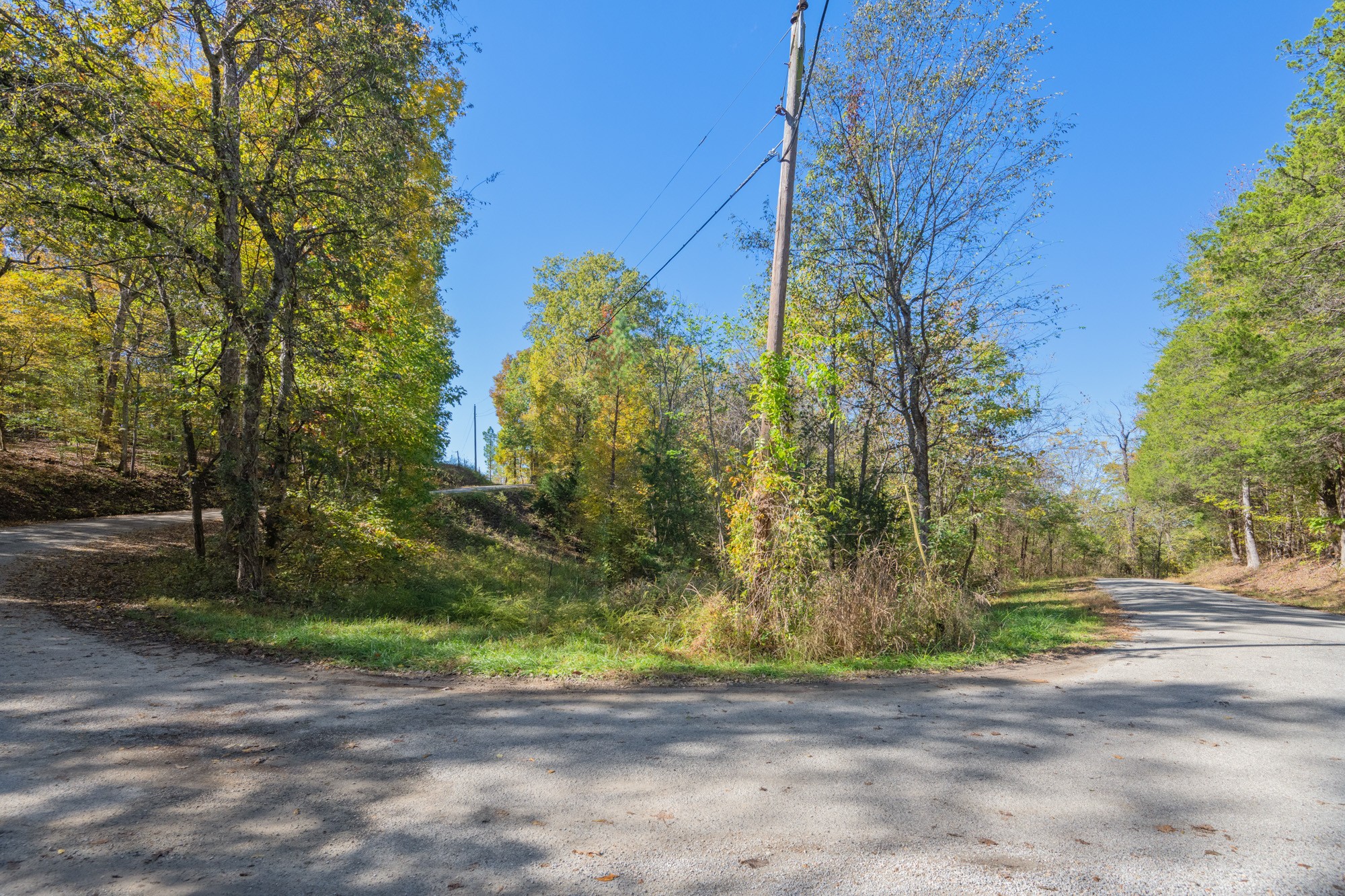 0 Dr Fisher Lane Decaturville, TN 38329 - Photo 23 of 25 a view of a yard with plants and trees