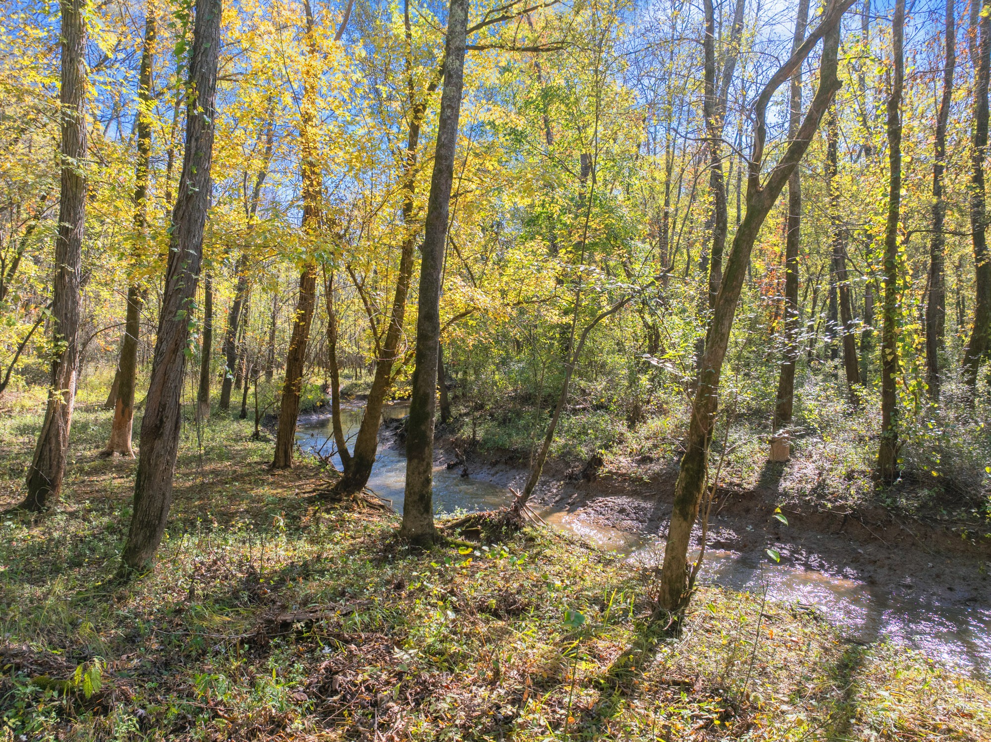0 Dr Fisher Lane Decaturville, TN 38329 - Photo 24 of 25 a backyard of a house with lots of green space and chair