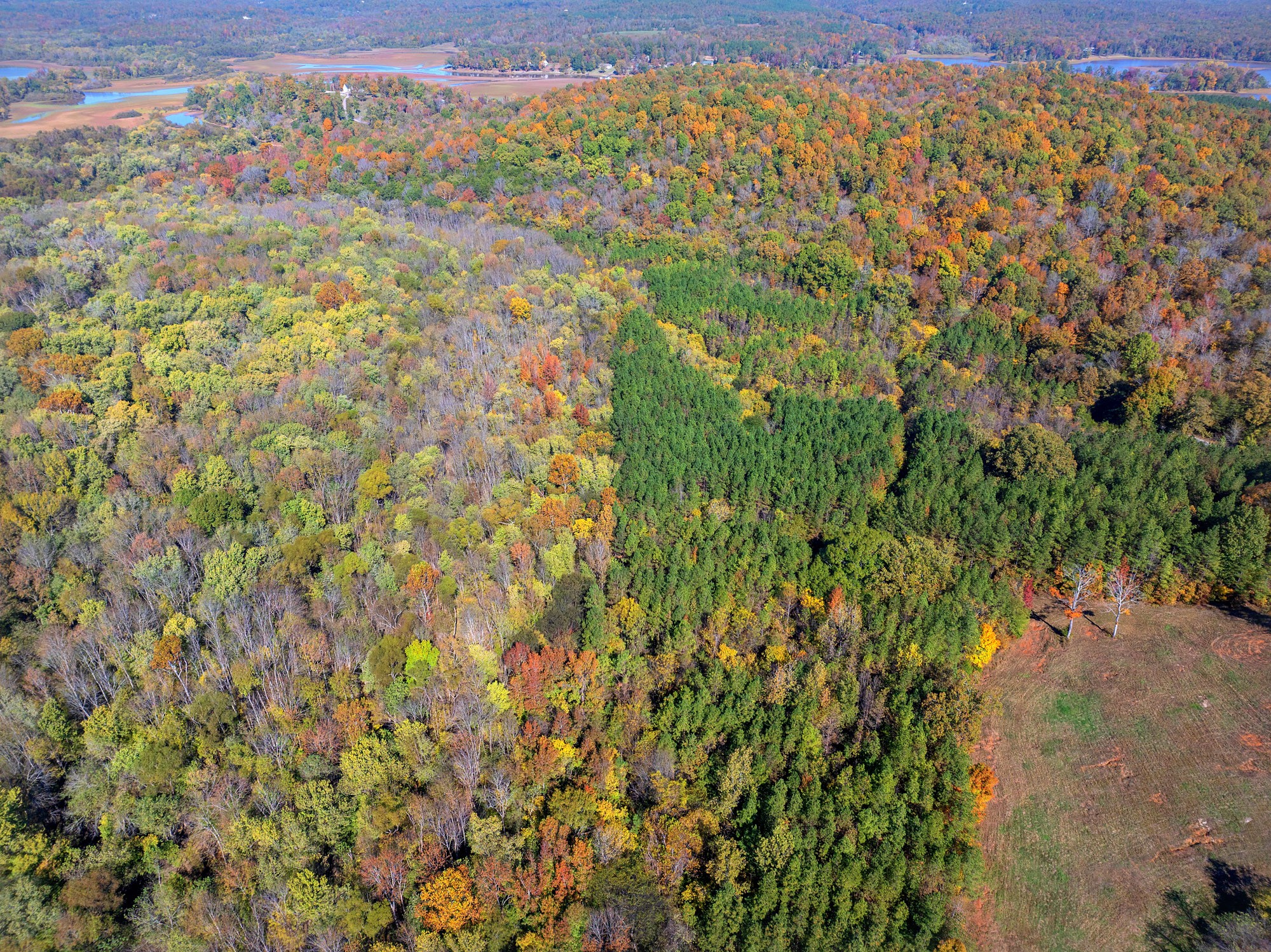 0 Dr Fisher Lane Decaturville, TN 38329 - Photo 25 of 25 a view of a yard with a plant