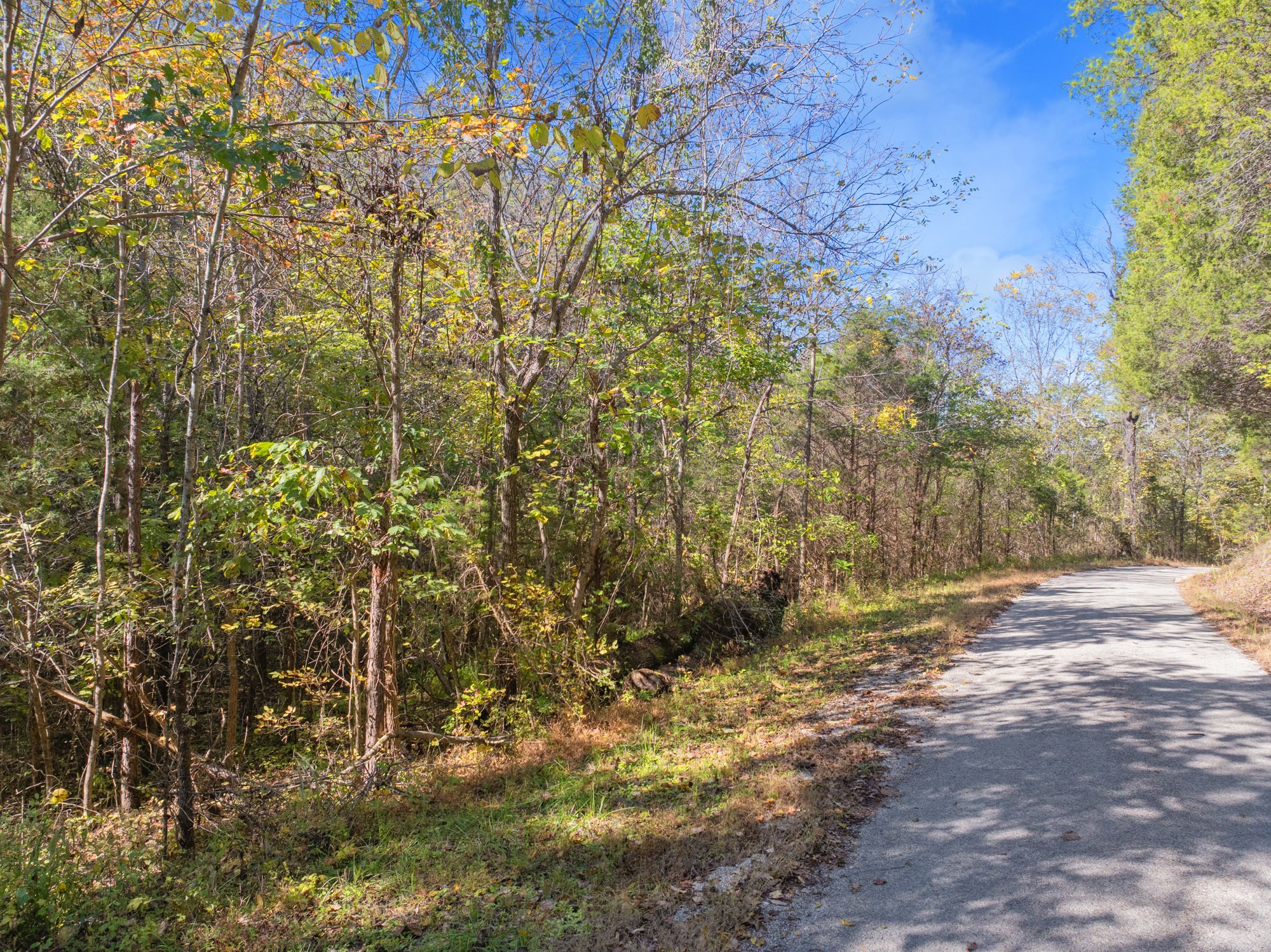 0 Dr Fisher Lane Decaturville, TN 38329 - Photo 10 of 25 a view of outdoor space and a yard
