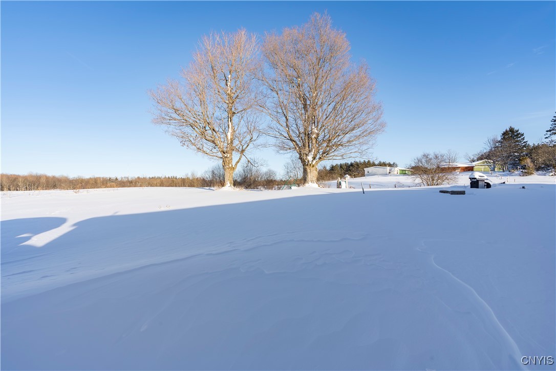 927 Cronk Road Pinckney, NY 13626 - Photo 41 of 44