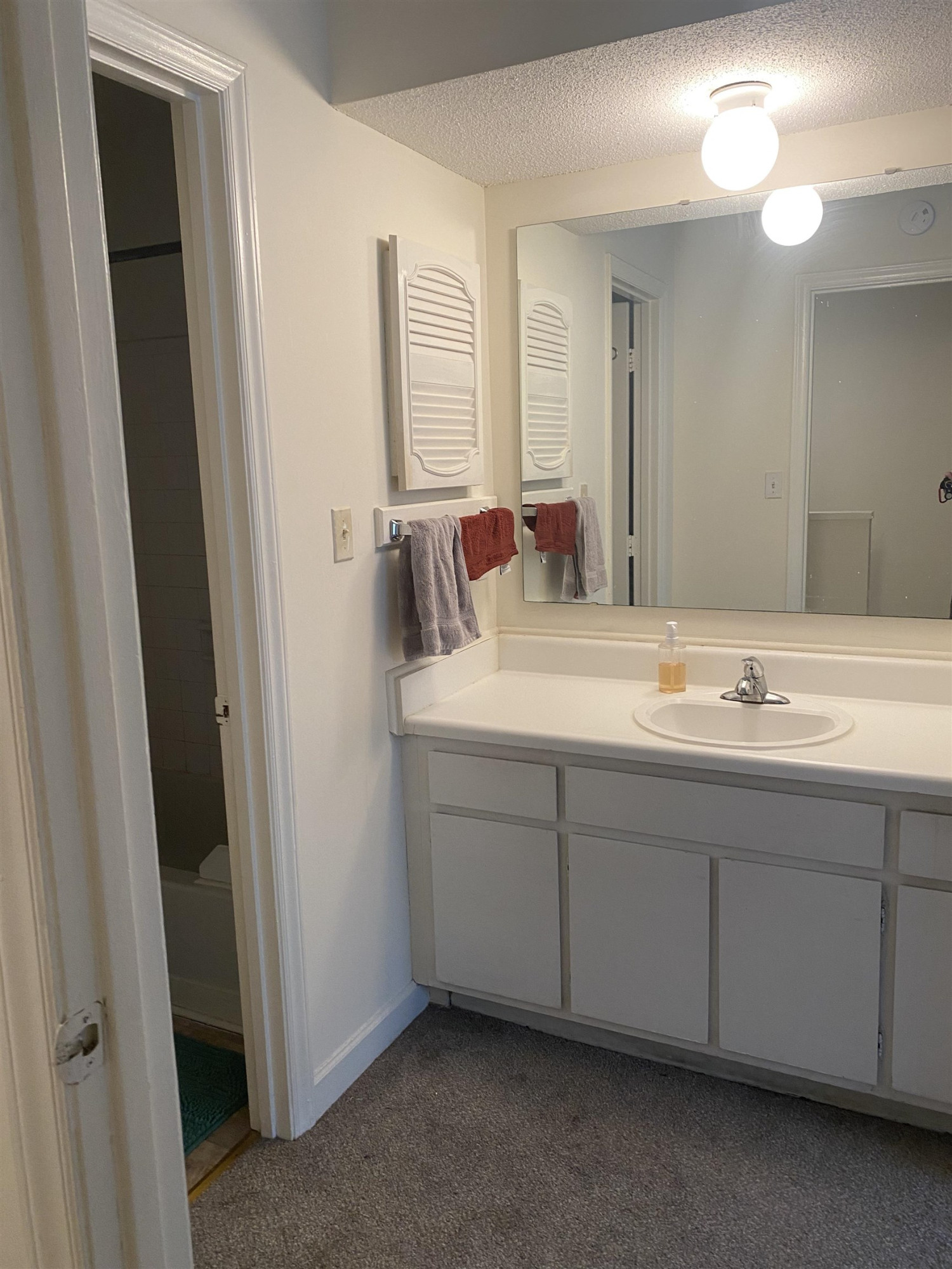 2500 Avent Ferry Road, Unit 205 Raleigh, NC 27606 - Photo 23 of 26 a bathroom with a double vanity sink and a mirror