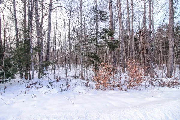 $16,000 | M2-l22 Big Bunker Hill Road, Lagrange, ME 04453