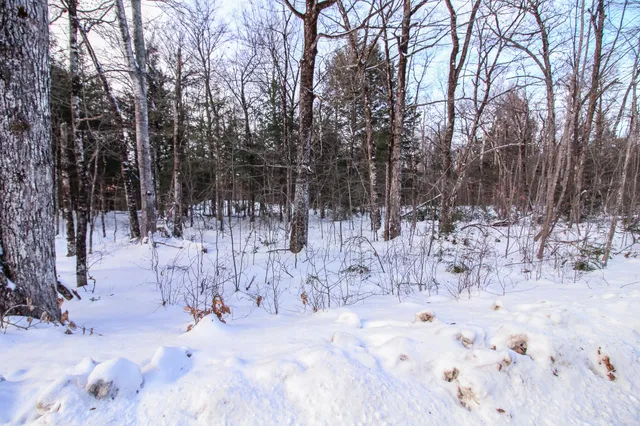 $16,000 | M2-l22 Big Bunker Hill Road, Lagrange, ME 04453