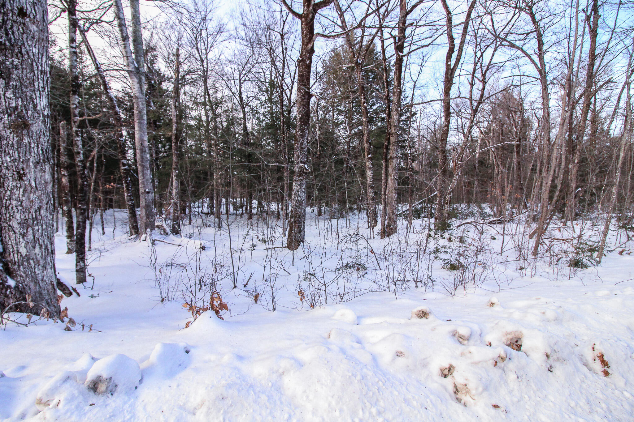 M2-l22 Big Bunker Hill Road Lagrange, ME 04453 - Photo 5 of 5 IMG_0005