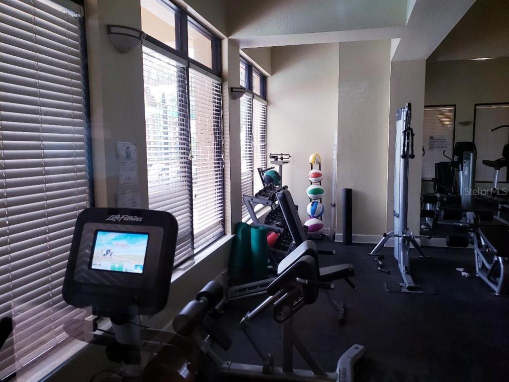 4715 Indian Deer Road Windermere, FL 34786 - Photo 37 of 56 Fitness