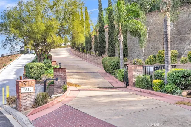 a view of a garden with potted plants
