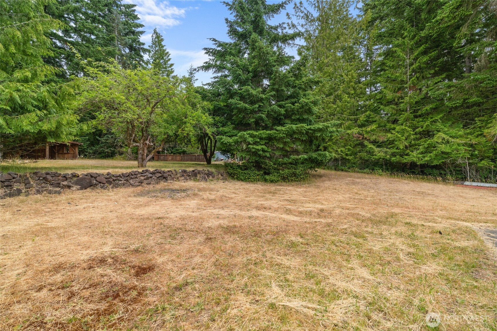 230 East Stavis Road Shelton, WA 98584 - Photo 28 of 35 a view of a yard with a tree