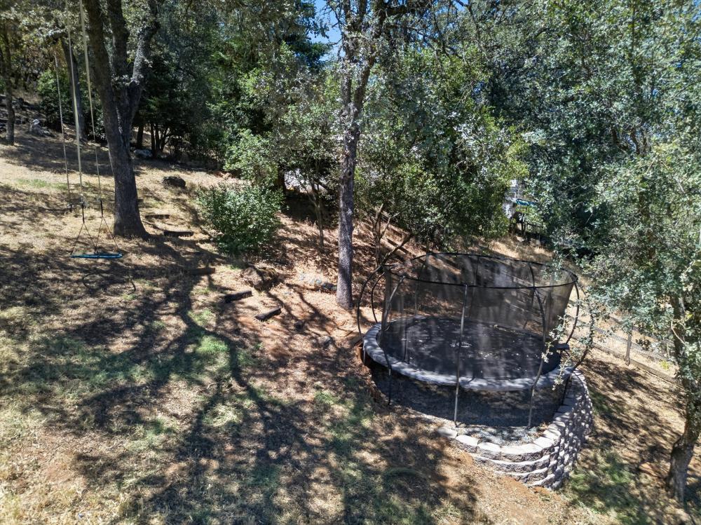 4207 Bear Paw Court Rescue, CA 95672 - Photo 68 of 87