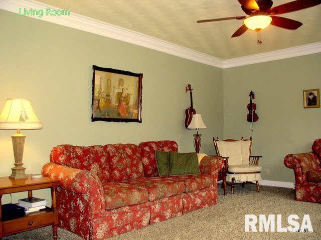 2955 West Striegel Road Carbondale, IL 62901 - Photo 2 of 7 Gallery Image 2