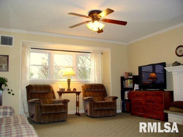 2955 West Striegel Road Carbondale, IL 62901 - Photo 5 of 7 Gallery Image 5