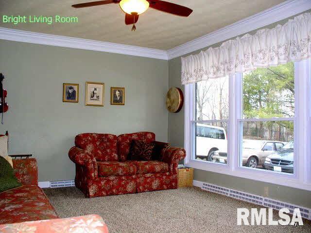 2955 West Striegel Road Carbondale, IL 62901 - Photo 7 of 7 Gallery Image 7