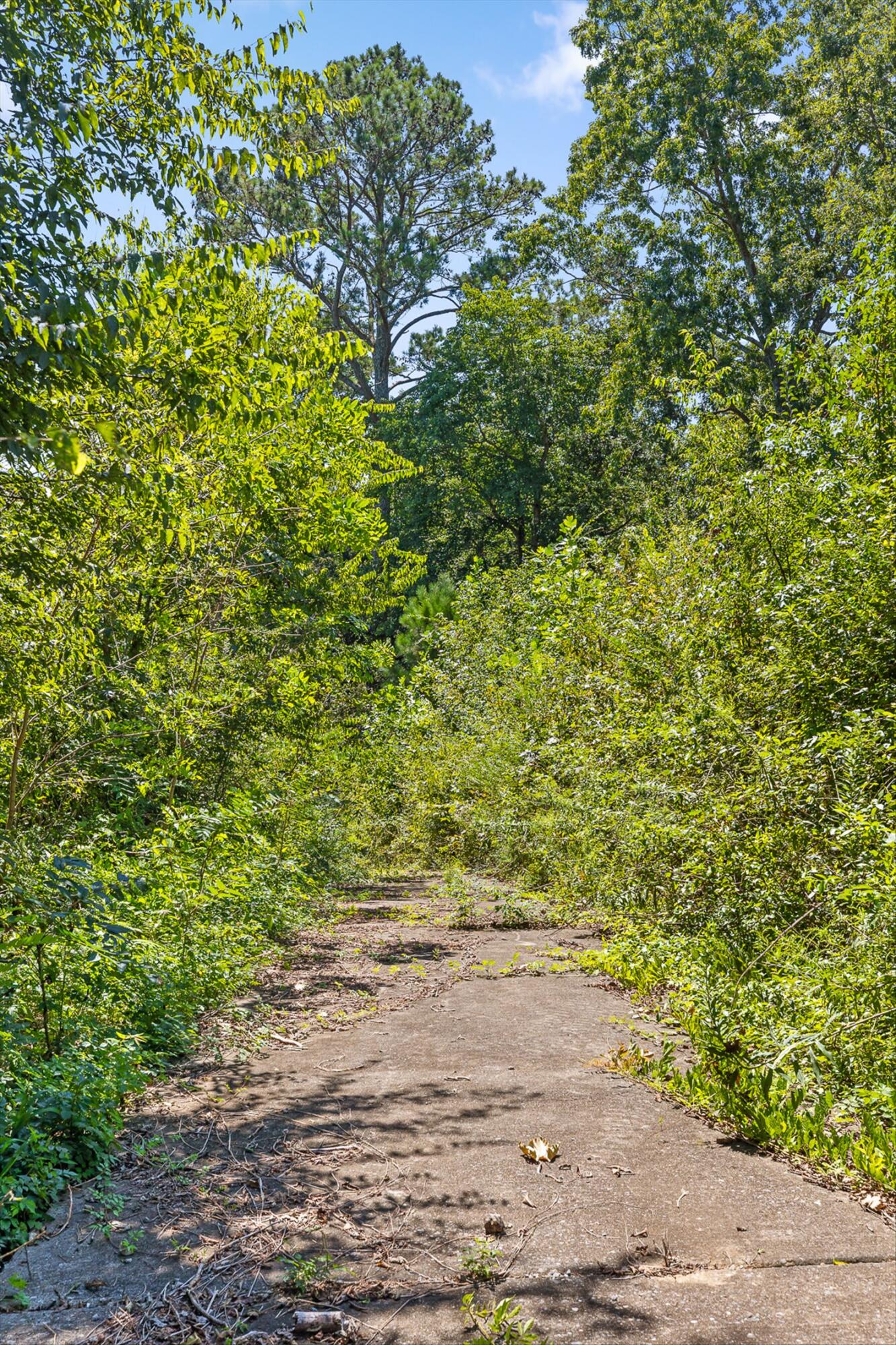 164 Poteet Road Chatsworth, GA 30705 - Photo 23 of 33 18-Poteet Rd-17