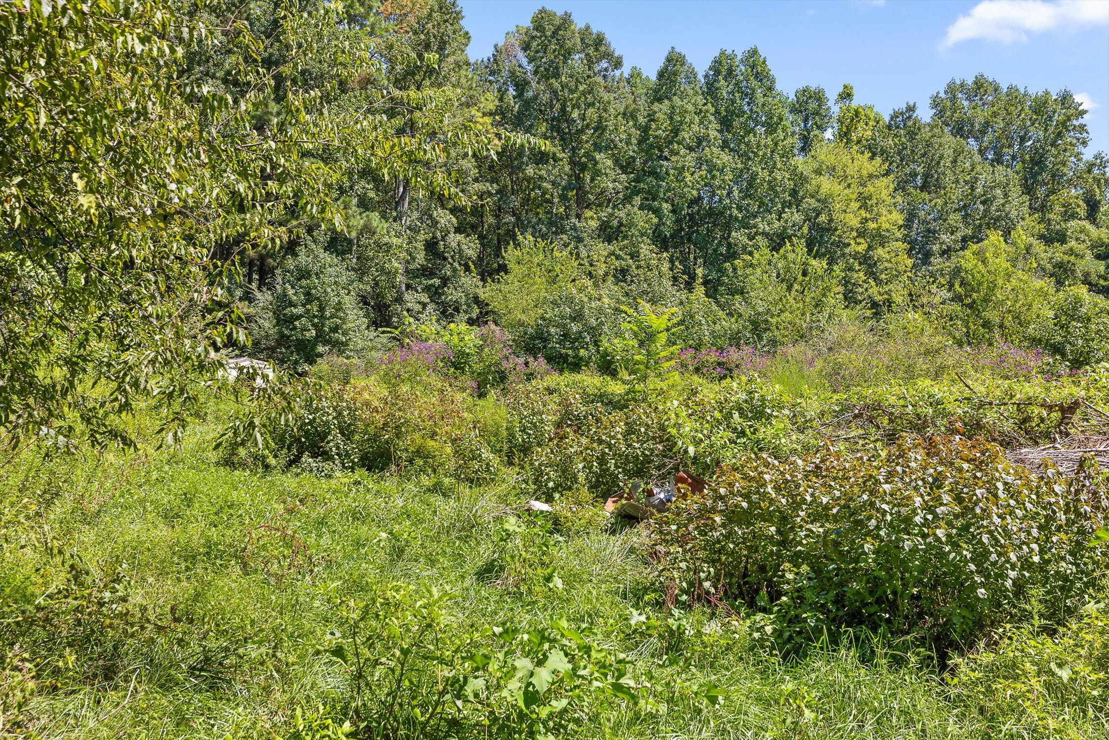 164 Poteet Road Chatsworth, GA 30705 - Photo 25 of 33 19-Poteet Rd-16