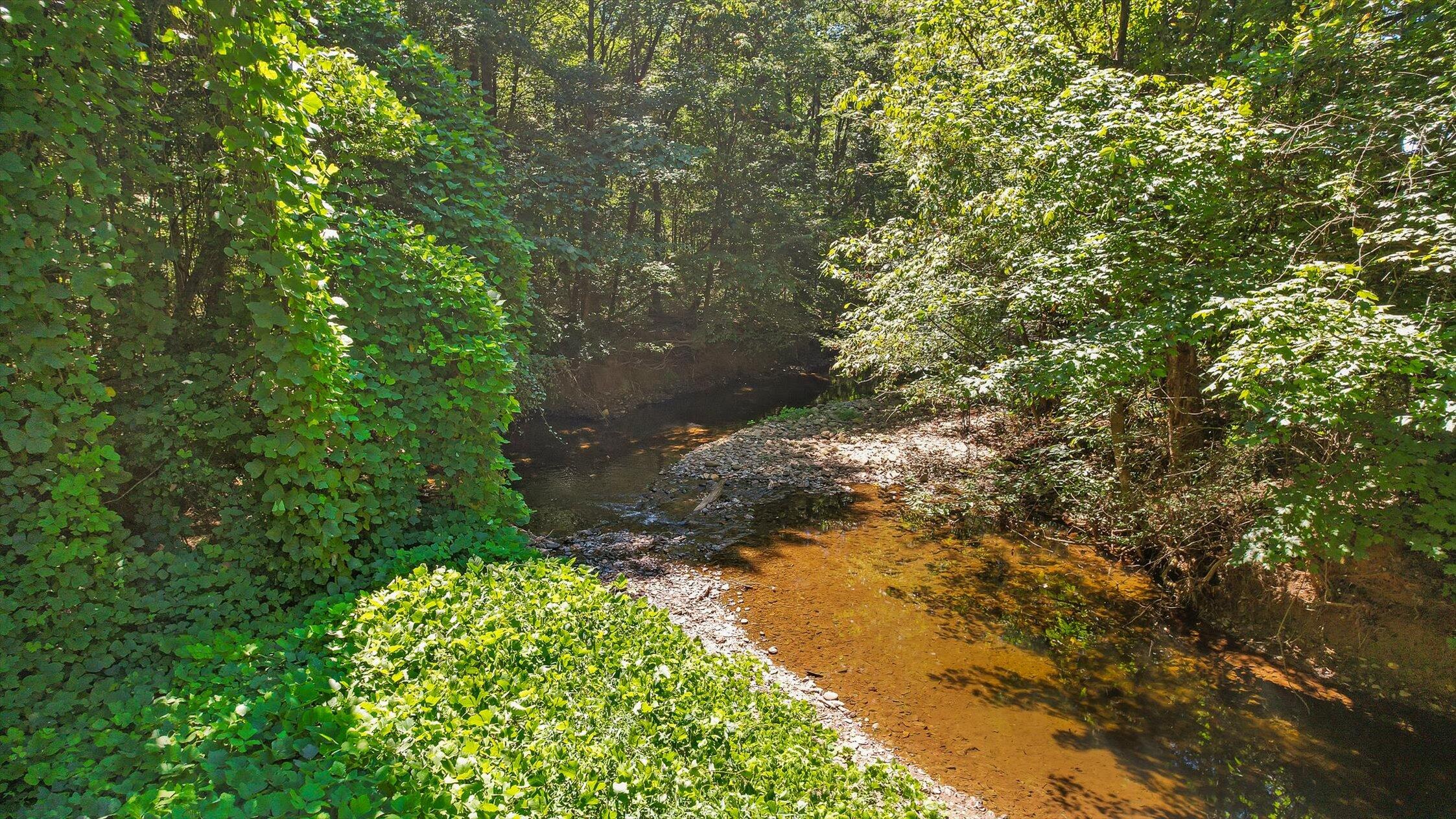 164 Poteet Road Chatsworth, GA 30705 - Photo 32 of 33 08-Poteet Rd-27