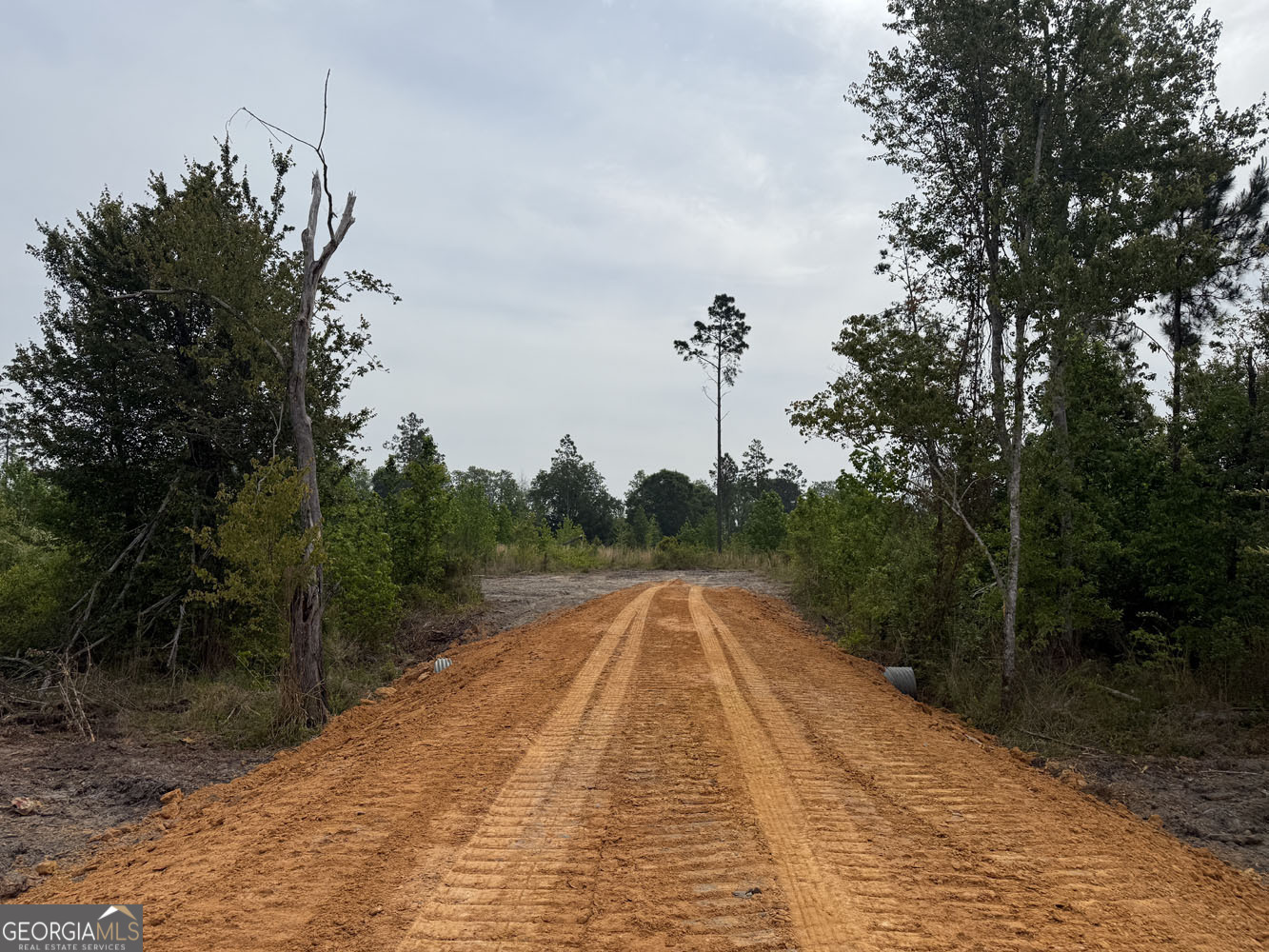4 Cedar Grove Dublin, GA 31021 - Photo 3 of 7