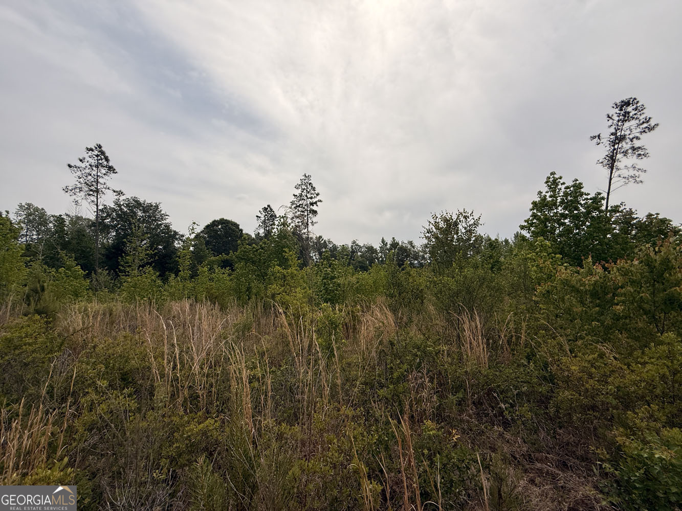 4 Cedar Grove Dublin, GA 31021 - Photo 5 of 7