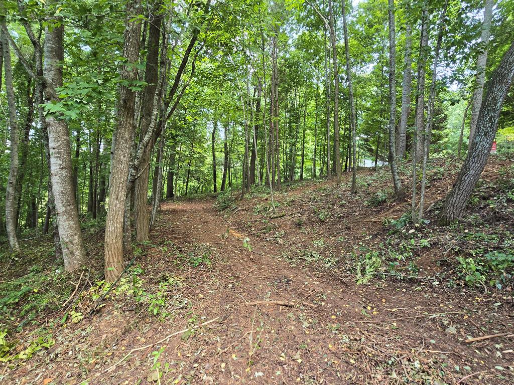 16 Omega Way Hiawassee, GA 30546 - Photo 17 of 19
