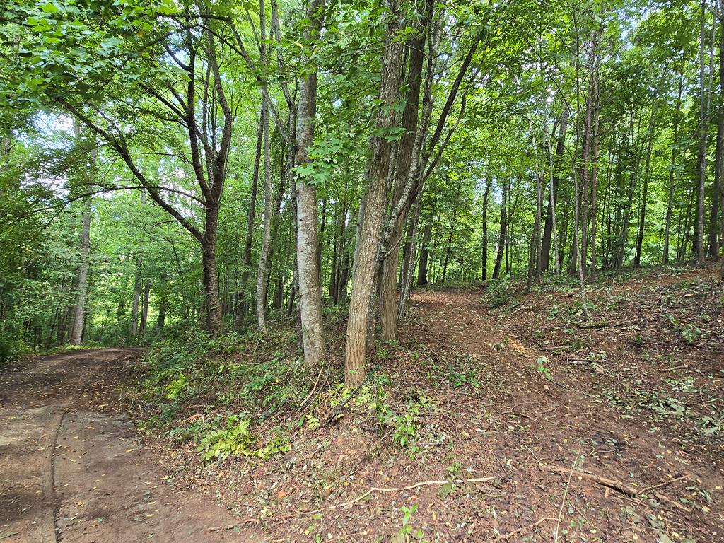 16 Omega Way Hiawassee, GA 30546 - Photo 18 of 19