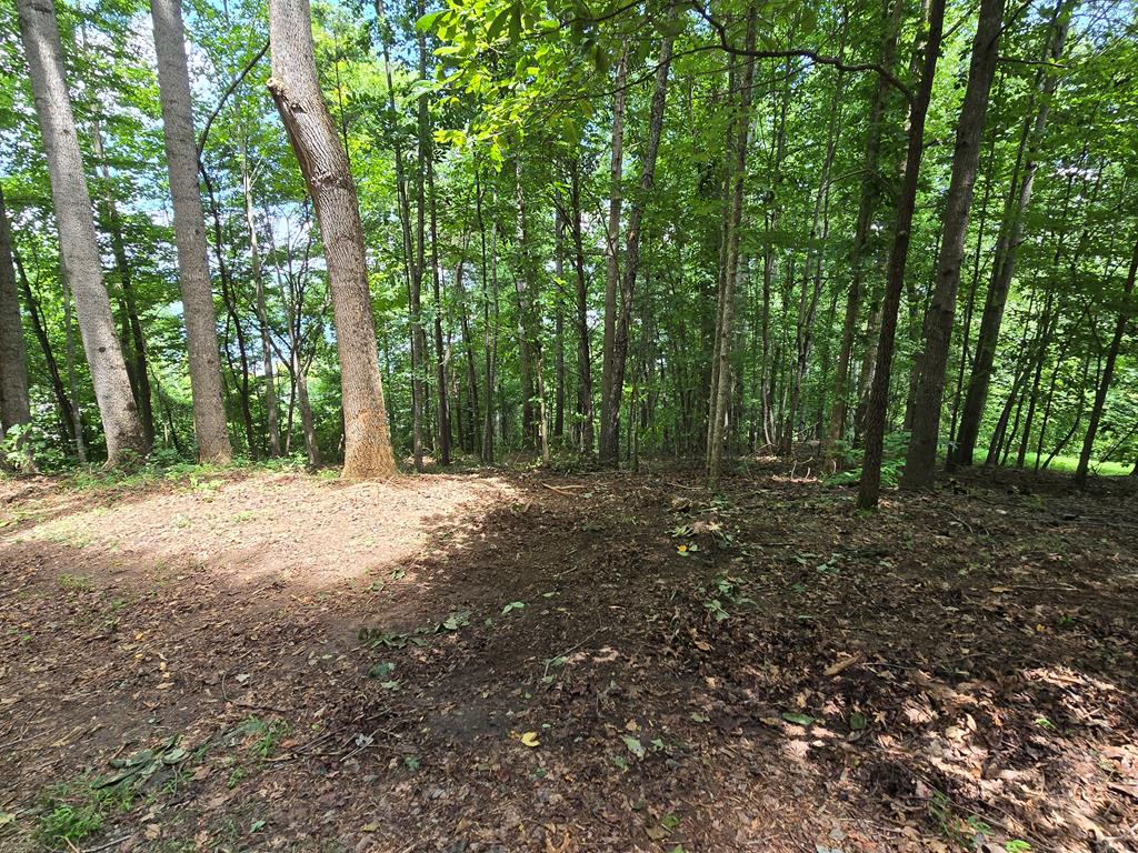 16 Omega Way Hiawassee, GA 30546 - Photo 19 of 19
