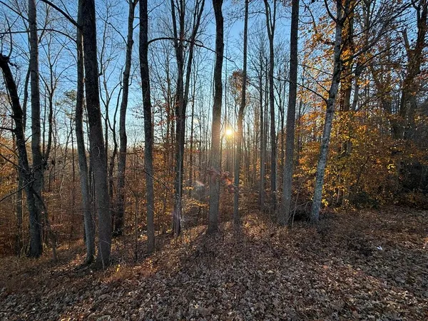 a view of outdoor space with lots of trees