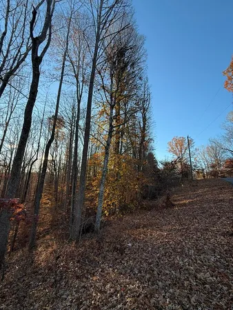 a view of backyard with green space