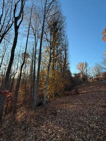 a view of backyard with green space