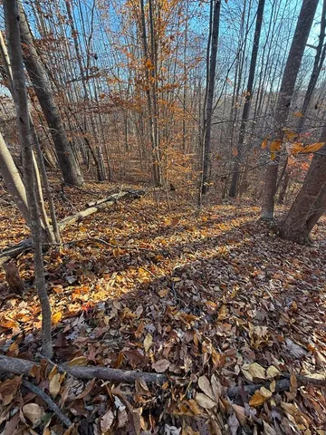 a view of a yard with large trees