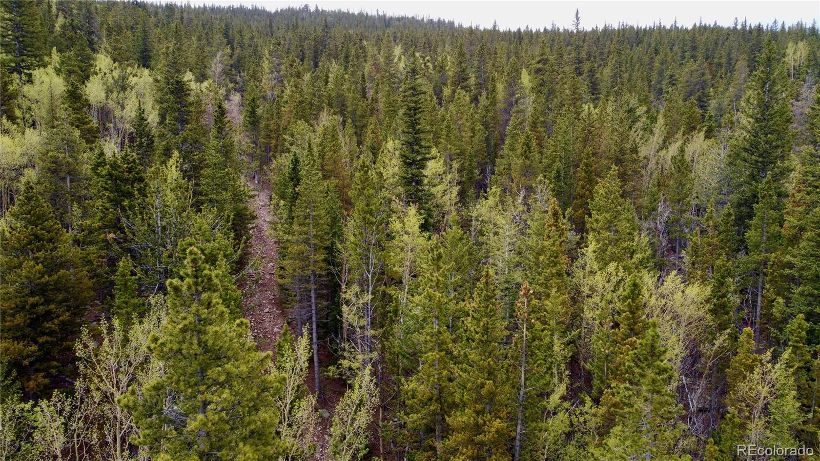 0 Hidden Wilderness Road Evergreen, CO 80439 - Photo 11 of 29