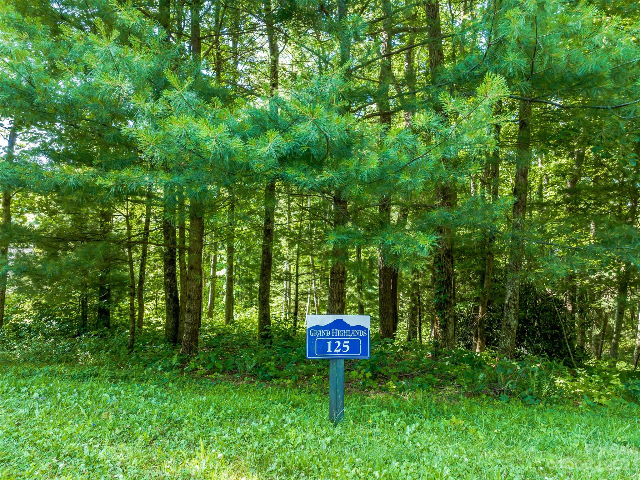 a sign board with tall trees