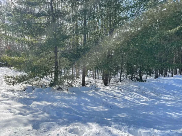 $7,000 | Whitetail Drive, Alger, MI 48610