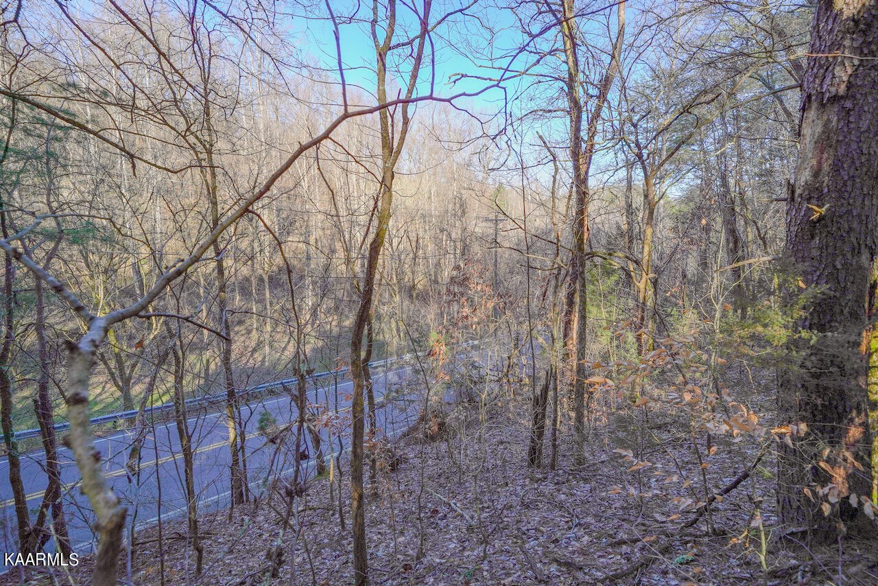 151 South New Era Road Sevierville, TN 37862 - Photo 7 of 10 Gallery Image 7