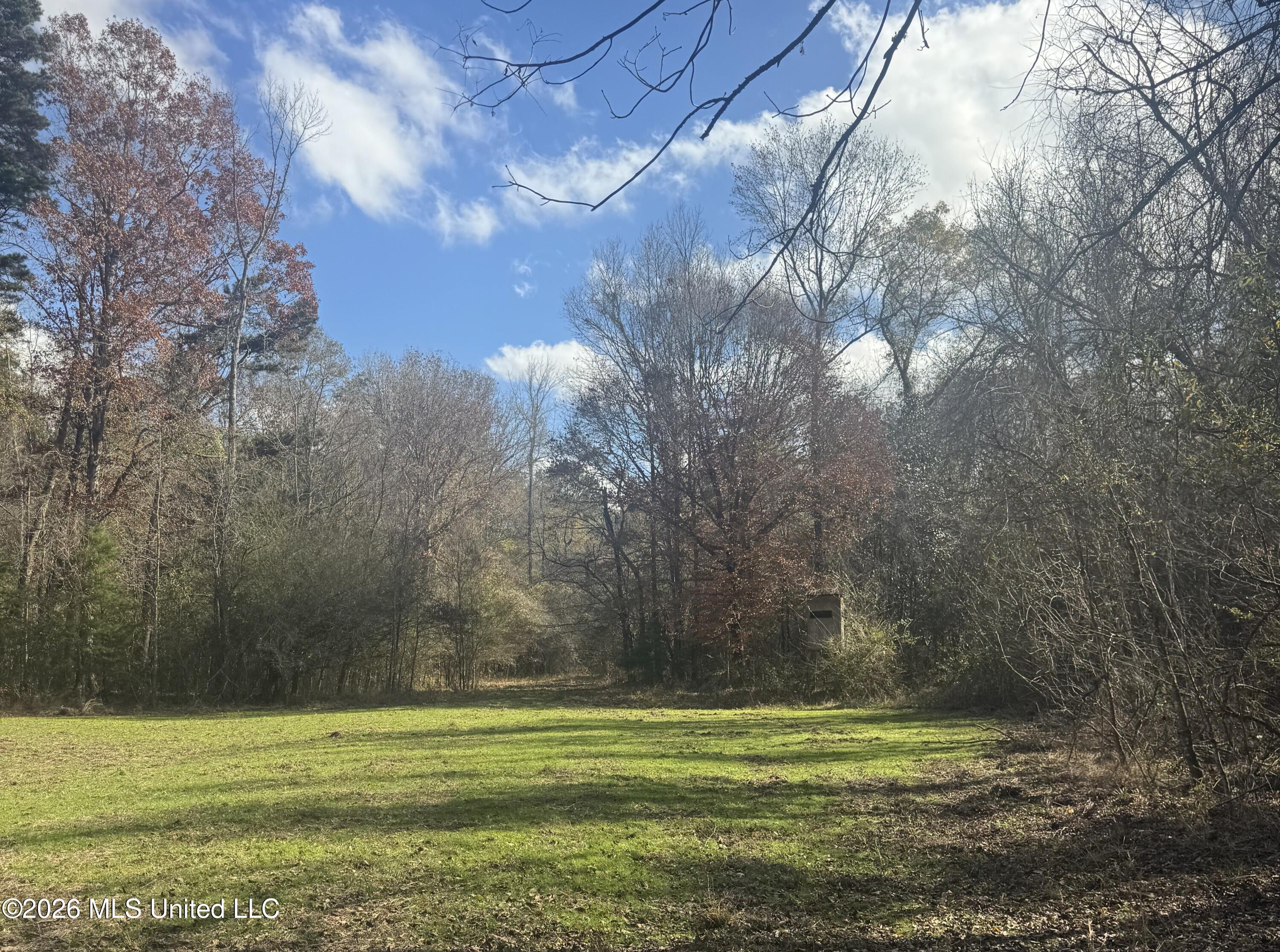 Box Stand overlooking food plot