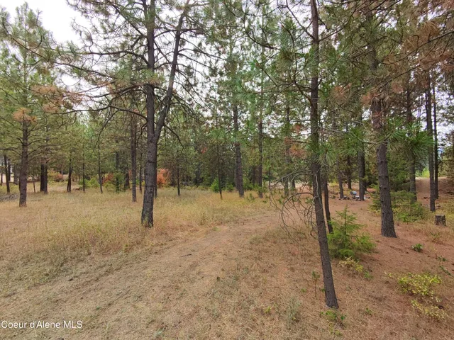 $154,900 | Na 11th Avenue, Spirit Lake, ID 83869