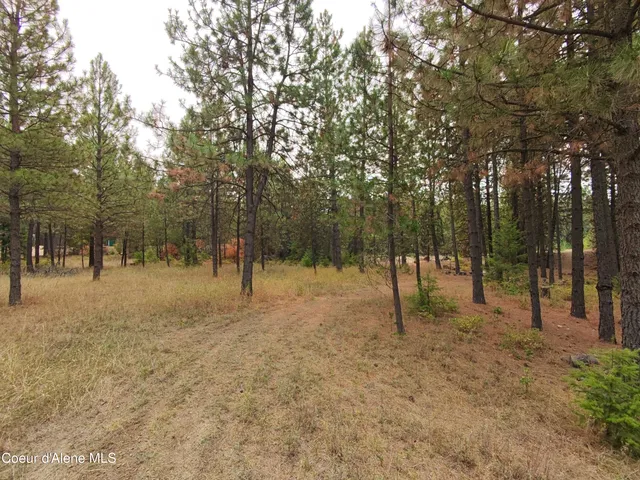 $154,900 | Na 11th Avenue, Spirit Lake, ID 83869