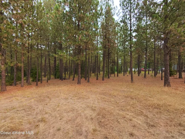 $154,900 | Na 11th Avenue, Spirit Lake, ID 83869