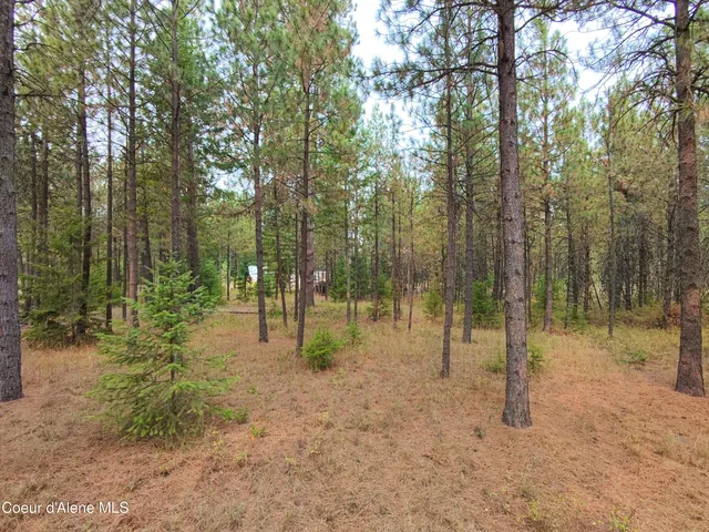 $154,900 | Na 11th Avenue, Spirit Lake, ID 83869