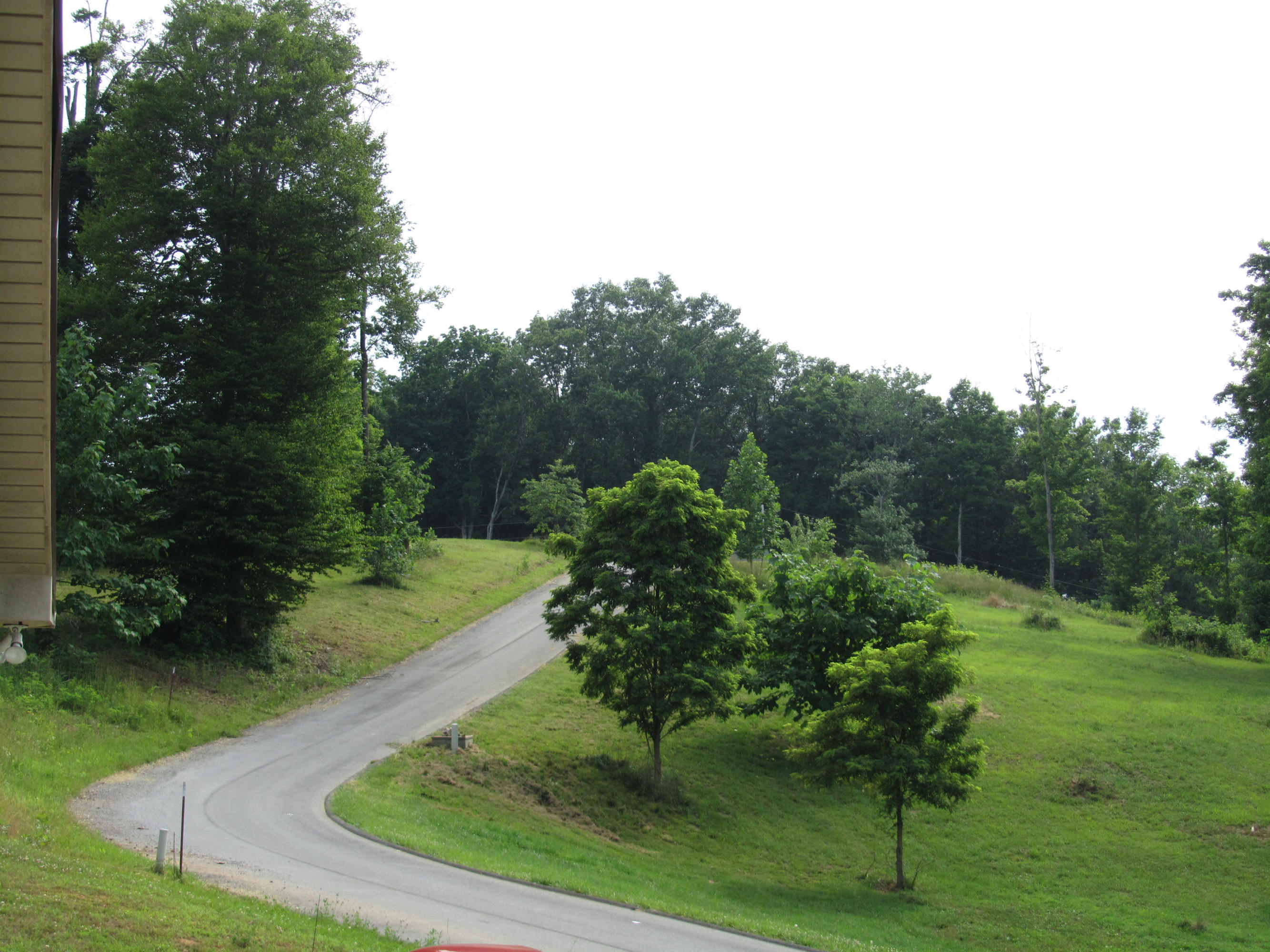 Magnolia-eagles Ridge-red B Magnolia-eagles Ridge-red B Sneedville, TN 37869 - Photo 2 of 22 IMG_2320