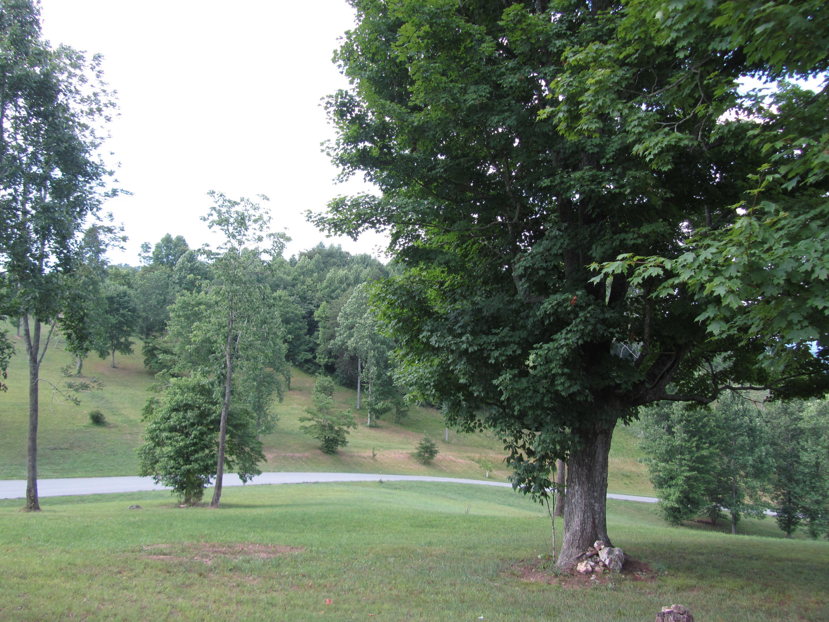 Magnolia-eagles Ridge-red B Magnolia-eagles Ridge-red B Sneedville, TN 37869 - Photo 13 of 22 IMG_2350