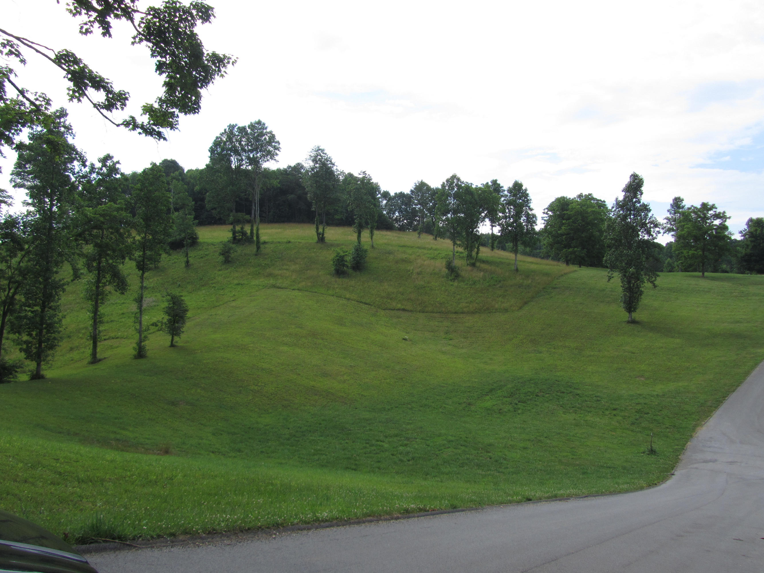 Magnolia-eagles Ridge-red B Magnolia-eagles Ridge-red B Sneedville, TN 37869 - Photo 15 of 22 IMG_2348