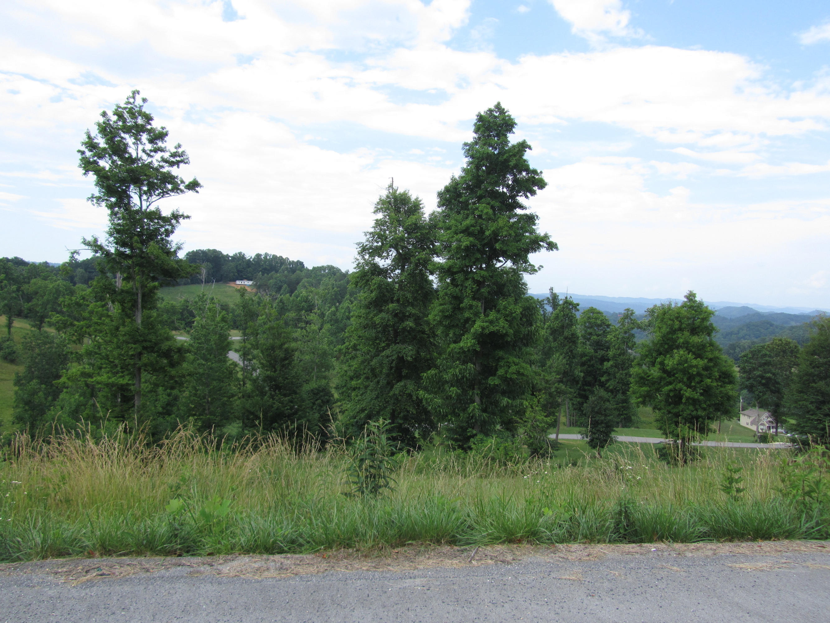 Magnolia-eagles Ridge-red B Magnolia-eagles Ridge-red B Sneedville, TN 37869 - Photo 18 of 22 IMG_2345