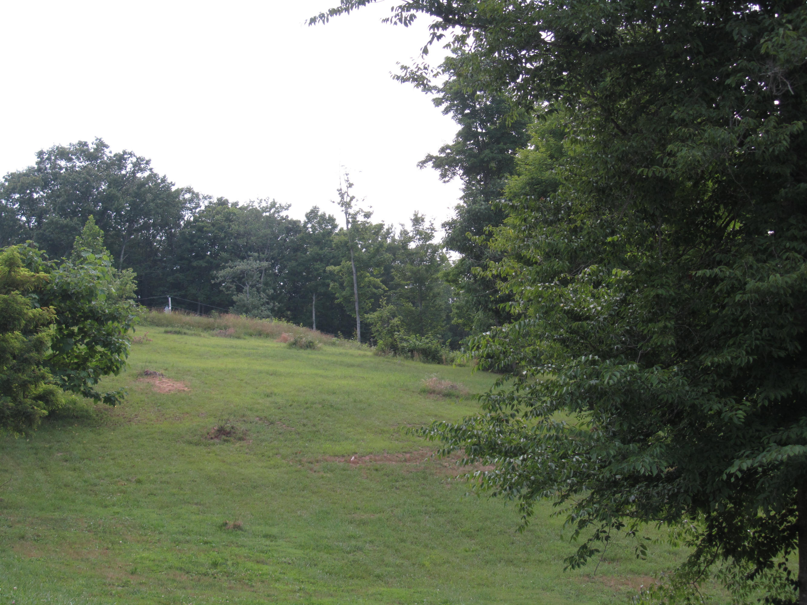 Magnolia-eagles Ridge-red B Magnolia-eagles Ridge-red B Sneedville, TN 37869 - Photo 19 of 22 IMG_2344