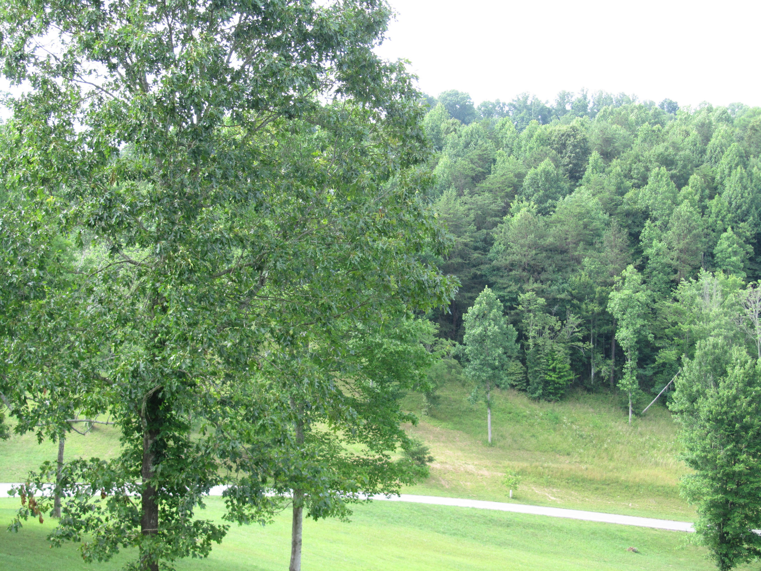 Magnolia-eagles Ridge-red B Magnolia-eagles Ridge-red B Sneedville, TN 37869 - Photo 20 of 22 IMG_2322