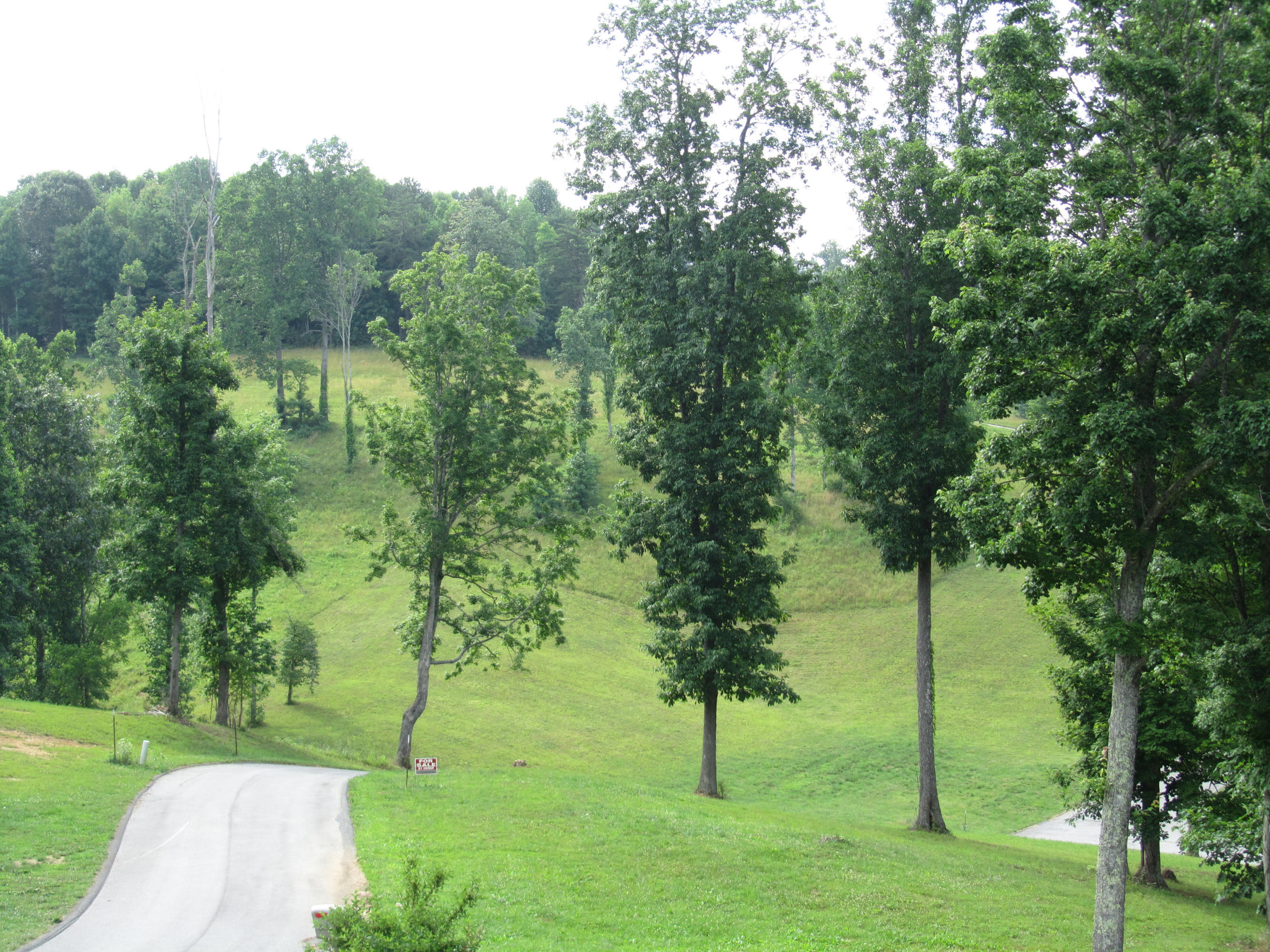 Magnolia-eagles Ridge-red B Magnolia-eagles Ridge-red B Sneedville, TN 37869 - Photo 21 of 22 IMG_2321