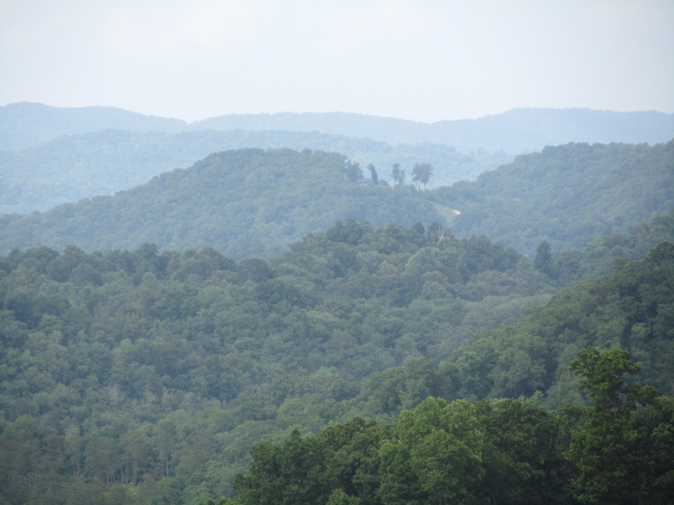 Magnolia-eagles Ridge-red B Magnolia-eagles Ridge-red B Sneedville, TN 37869 - Photo 22 of 22 IMG_2325