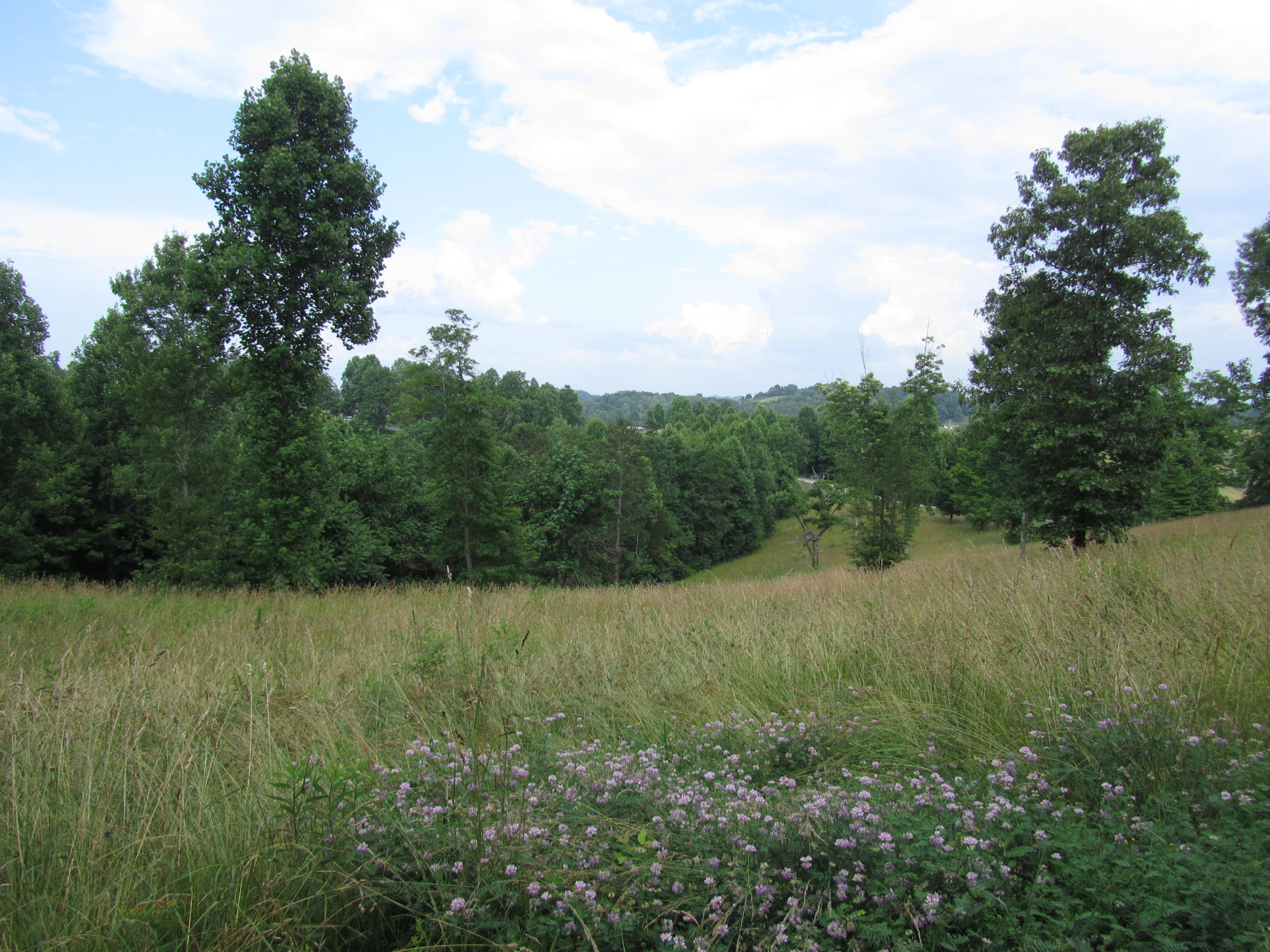 Magnolia-eagles Ridge-red B Magnolia-eagles Ridge-red B Sneedville, TN 37869 - Photo 5 of 22 IMG_2359